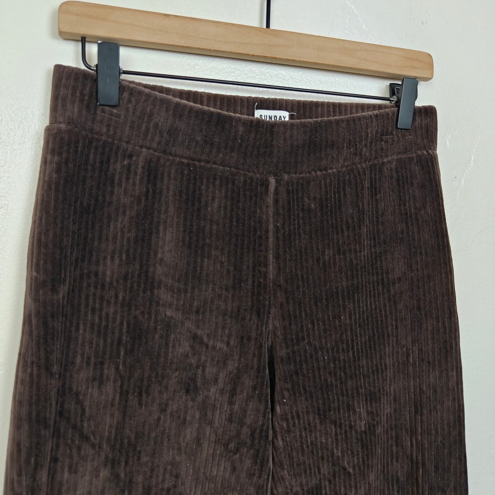 Aritzia Sunday Best Womens Pants Small Brown Ribbed Corduroy Dark Academia - Picture 3 of 9